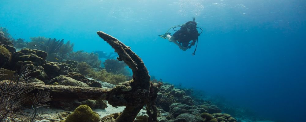 Looking for the Perfect Tropical Destination? Try Bonaire - The Wise Traveller - Scuba Diving