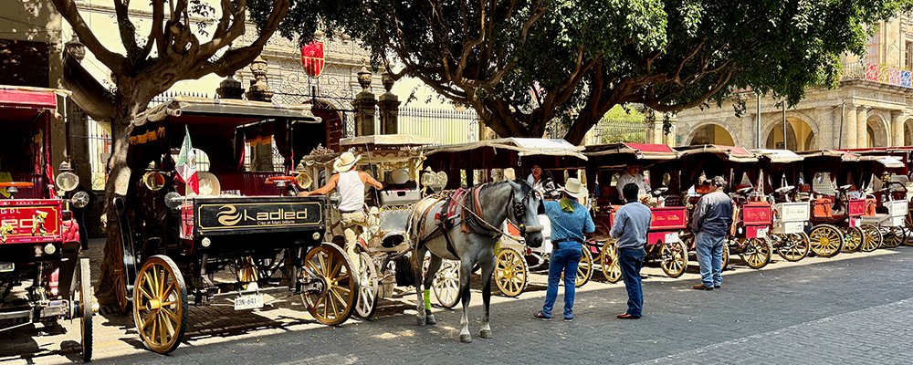  Mariachi, Tequila, and Giant Jalapeno - Guadalajara - Mexico - The Wise Traveller - IMG_6986