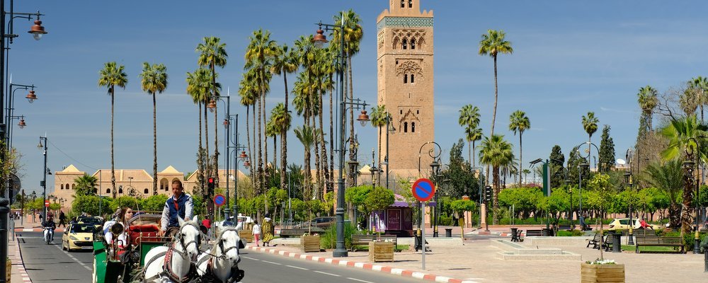 Discovering the Calmer Side of Marrakech - The Wise Traveller