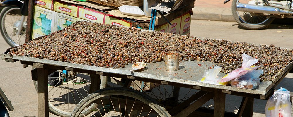 Meals on Wheels - Cambodia - The Wise Traveller - IMG3941