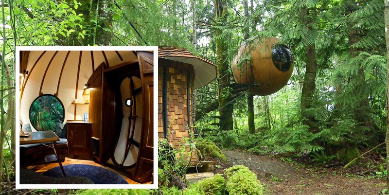 Micro Hotel Rooms - Cooland quirky places to sleep - The Wise Traveller