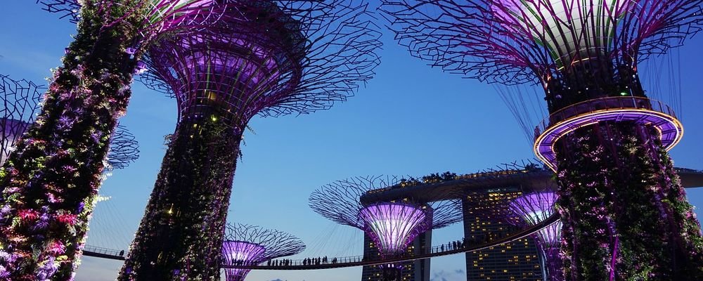 Most Amazing Places to Take Photos in Singapore - The Wise Traveller - Garden