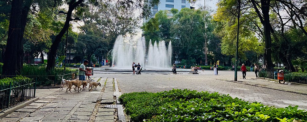 Musing Over Mexico City - The Wise Traveller - IMG_4953