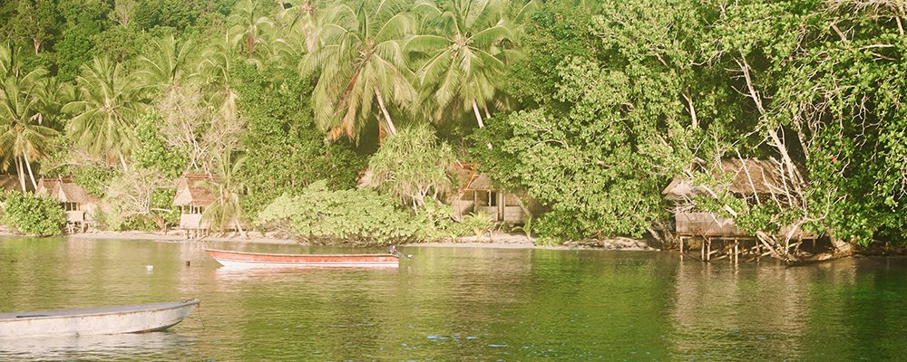My 5 Favorite Places - The Wise Traveller - Raja Ampat View