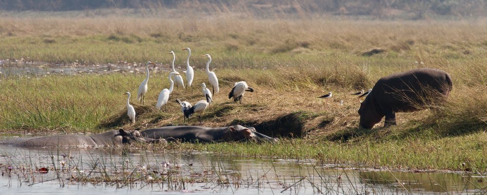 Nkala Lodge - Kafue National Park Zambia - The Wise Traveller