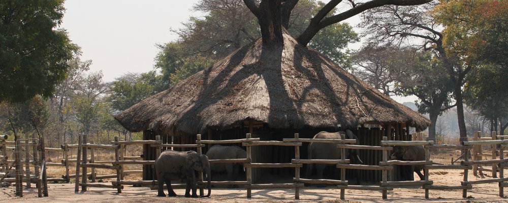 Nkala Lodge - Kafue National Park Zambia - The Wise Traveller