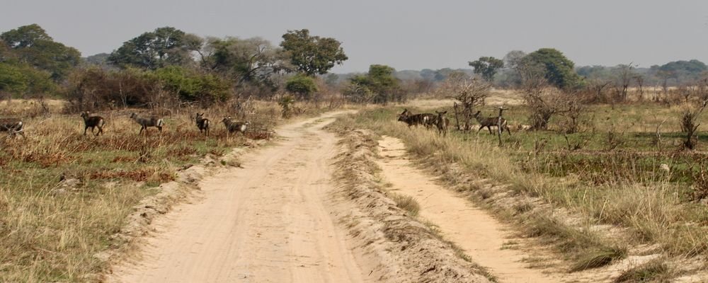 Nkala Lodge - Kafue National Park Zambia - The Wise Traveller