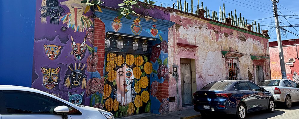 Oaxaca Street Art - Mexico - The Wise Traveller - IMG_5241