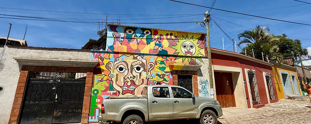 Oaxaca Street Art - Mexico - The Wise Traveller - IMG_5257