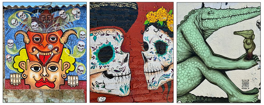 Oaxaca Street Art - Mexico - The Wise Traveller - Street Art