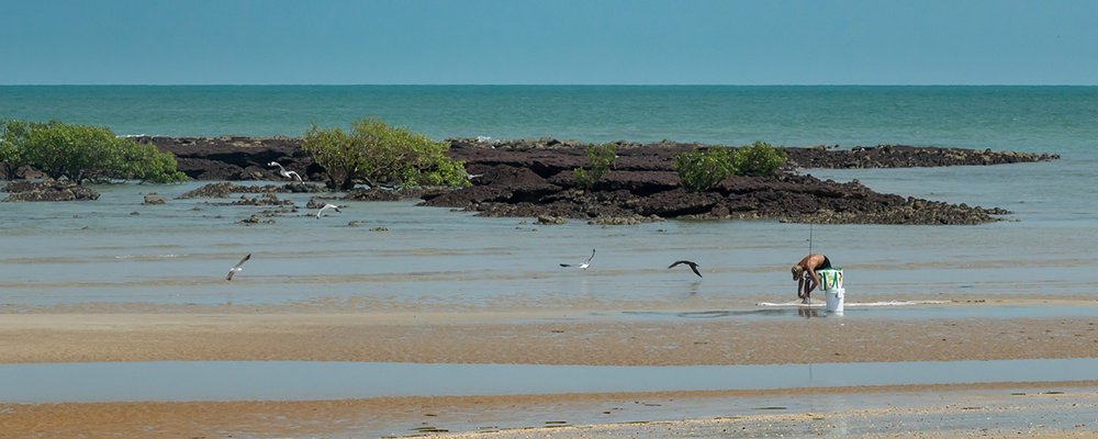 Outback Homesteads - Northern Territory, Australia - The Wise Traveller - Net Fishing