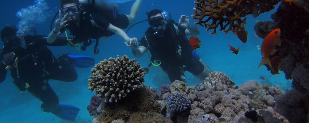 Playtime on the Great Barrier Reef - Far North Queensland - The Wise traveller