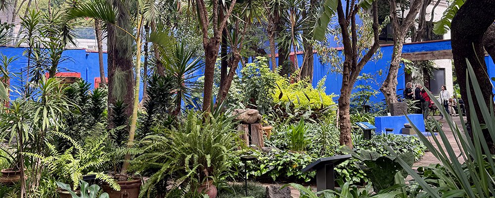 Poking Your Nose Around - Mexico City Museums - The Wise Traveller - Museo Frida Kahlo - Outdoor