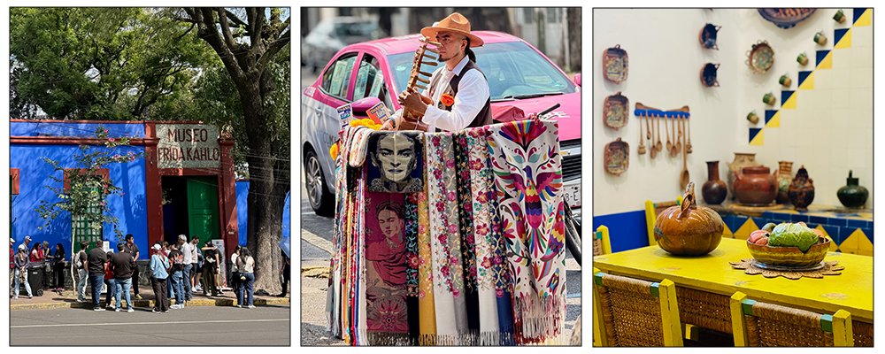 Poking Your Nose Around - Mexico City Museums - The Wise Traveller - Museo Frida Kahlo