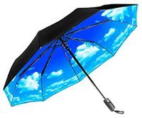 Repel Travel Umbrella - Product Review