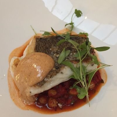 Review - The Athenaeum Hotel & Residences - London - U.K. - The Wise Traveller - Cornish hake at Galvin