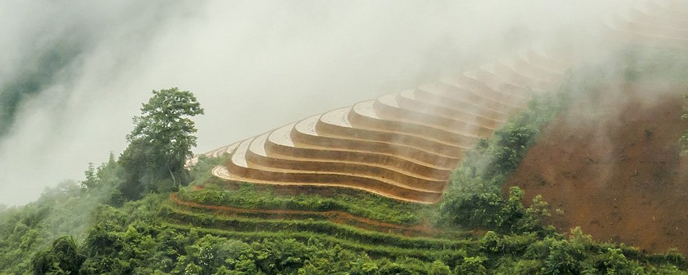 Revisiting Sapa - Vietnam - The Wise Traveller - Rice Terraces - Sapa