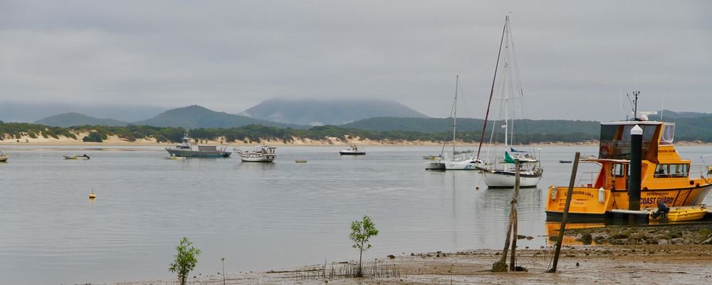 Road Tripping Australia - Cairns to Cooktown - The Wise Traveller - Boats