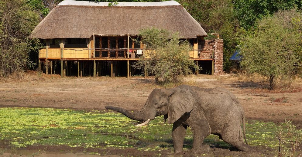 Safari Zambia Fast Facts You Need to Know - The Wise Traveller - Lodge