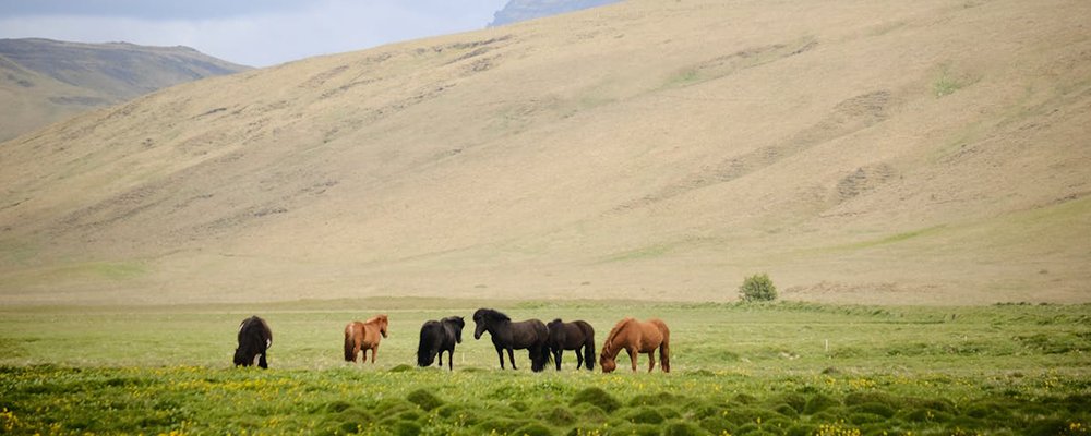 Seek Out The Safest and Happiest Nations in 2025 - The Wise Traveller - Iceland