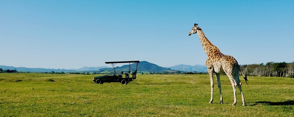 Seeking Serenity? Here’s 25 Destinations To Find Peace - The Wise Traveller - Botswana