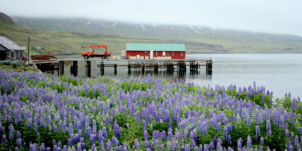 Iceland's Ring Road Emma Lavelle