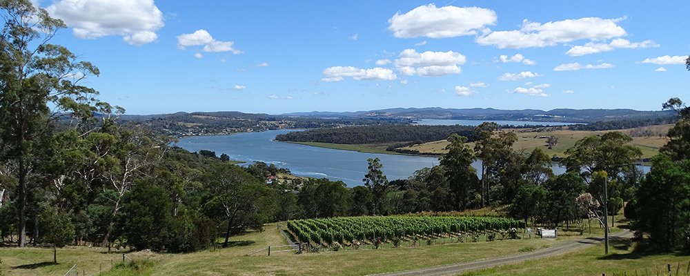 Sipping and Sleeping - Tasmania’s Wineries - The Wise Traveller - Tamar Valley