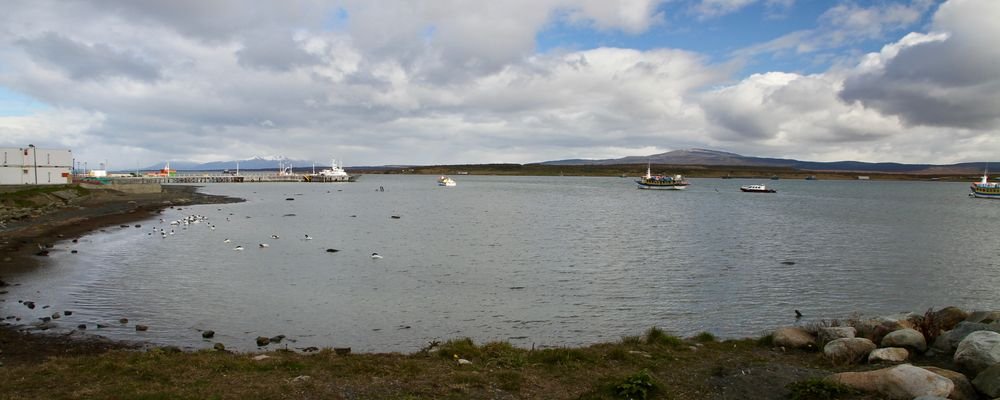 Sloths, Swans and Ice Cream in Wine– Puerto Natales - Chile - The Wise Traveller - IMG_9588