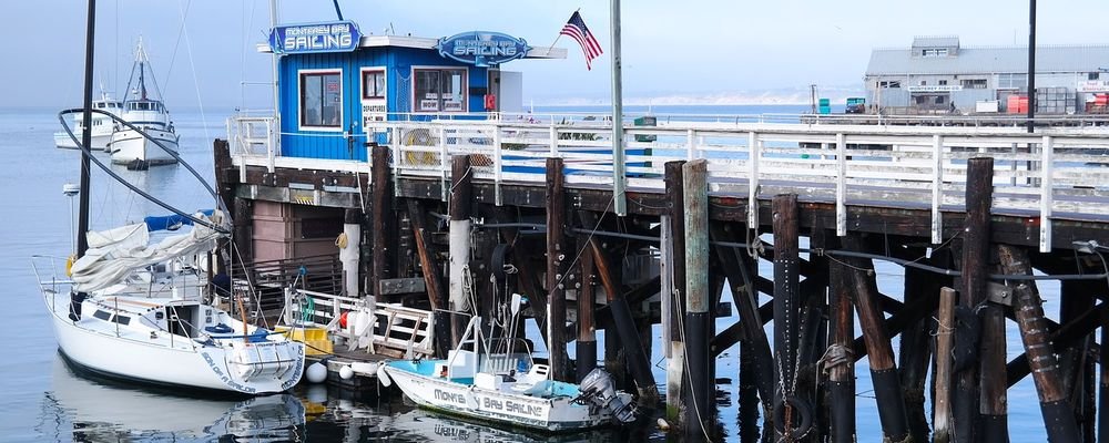 Spotting Marine Life in Monterey Bay, California - The Wise Traveller - Port