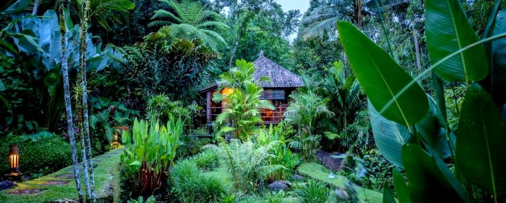 Where Rice Paddies Meet the Jungle - Bali Eco Stay - The Wise Traveller