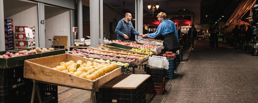 Star Traveler Breeds - The Wise Traveller - Food Market