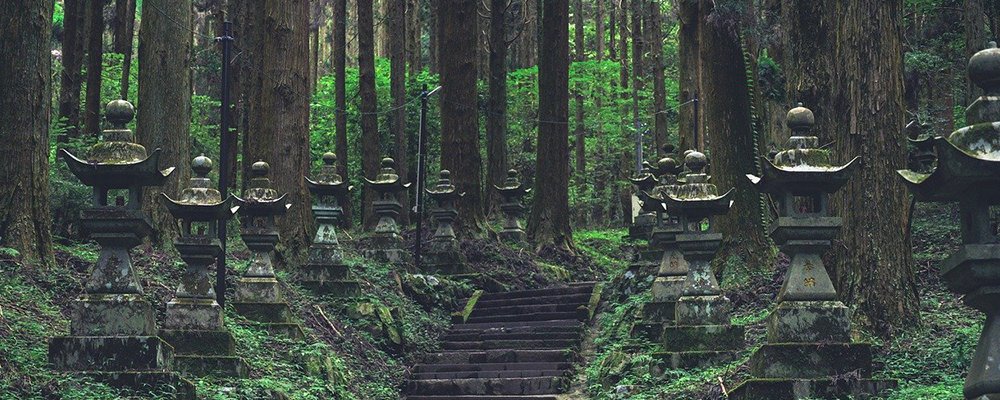 Surprises Revealed in 2024 Hot Travel Trend Surveys - The Wise Traveller - Kyushu - Japan