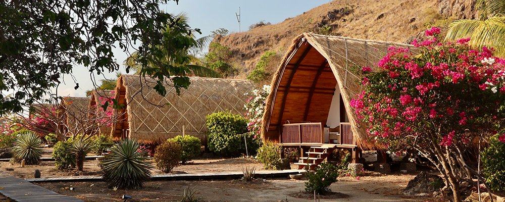  Talk to the Fish - Komodo Island Resort - Komodo Marine National Park, Indonesia - The Wise Traveller - 186A0149
