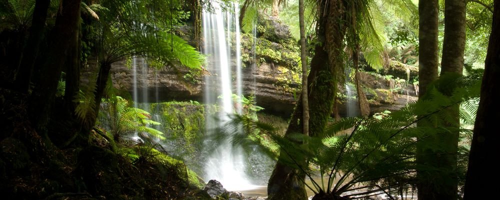 Tasmania’s Best Natural Wonders - The Wise Traveller - Russell Falls