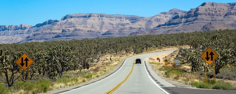 The Best Deserts to Visit on an American Road Trip - The Wise Traveller - Joshua Tree