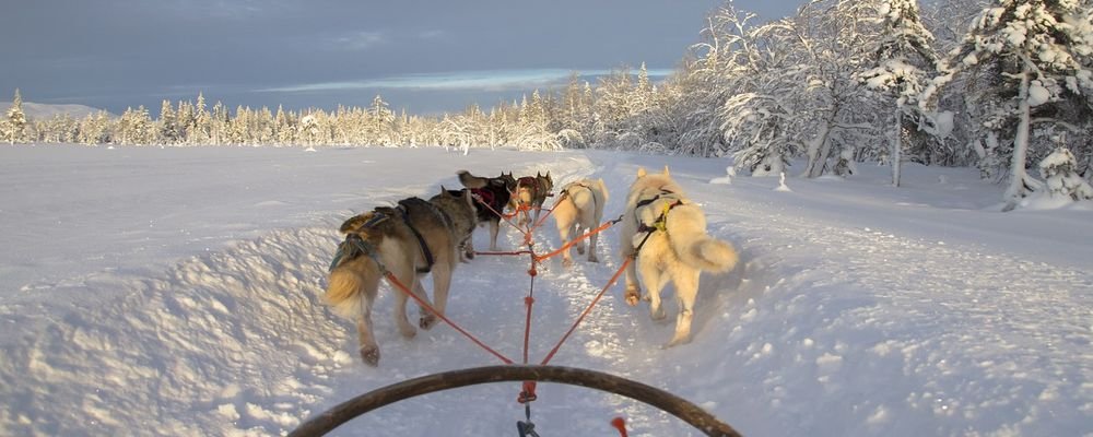 The Best Destinations to Visit in Winter - The Wise Traveller - Finland Lapland