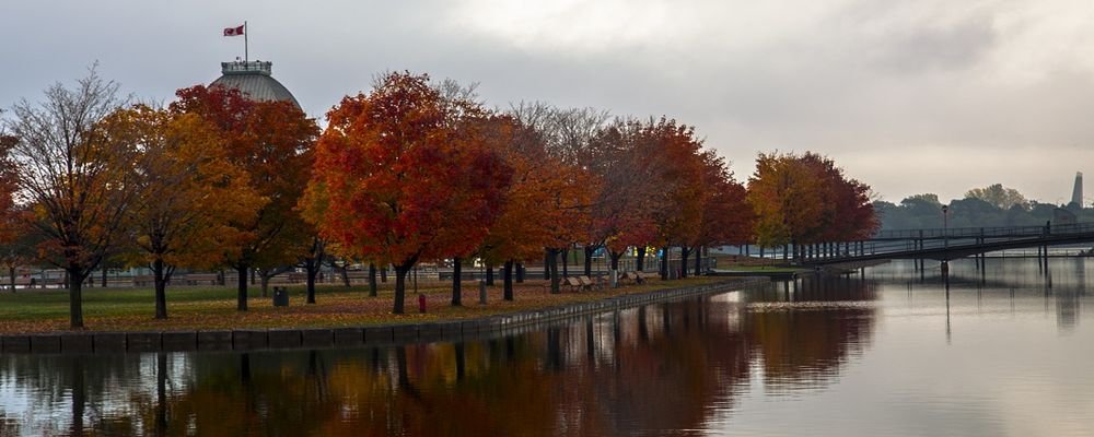 The Best Places to Visit for Fall Foliage - The Wise Traveller - Montreal - Canada