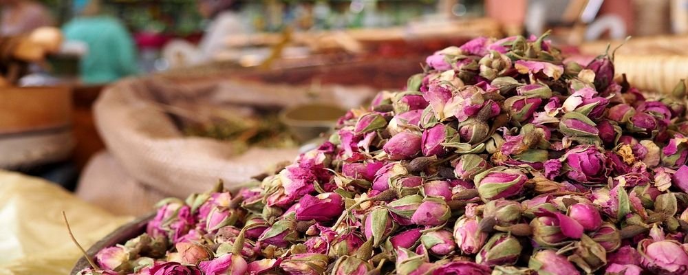 The Best Places to Visit for Spring Flowers - The Wise Traveller - Morocco