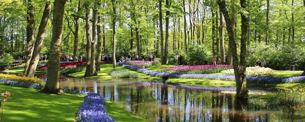The Best Places to Visit for Spring Flowers - The Wise Traveller - Netherlands