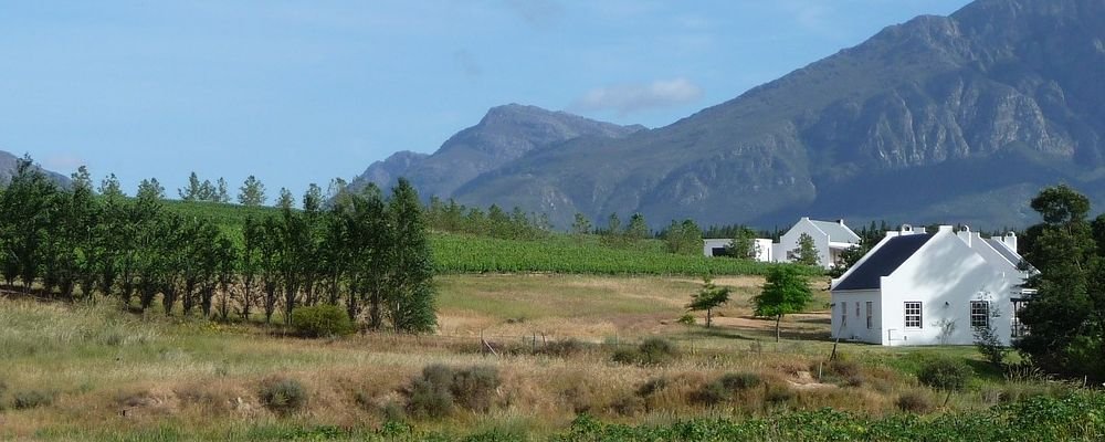 The Best Wine Regions To Tour - The Wise Traveller - Cape Winelands - South Africa