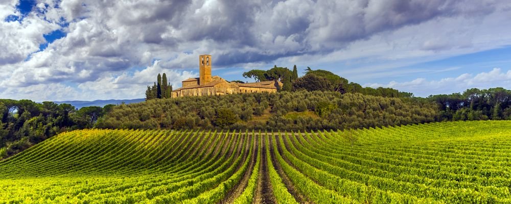 The Best Wine Regions To Tour - The Wise Traveller - Tuscany - Italy