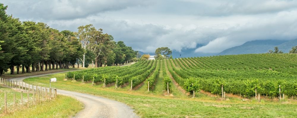 The Best Wine Regions To Tour - The Wise Traveller - Yarra Valley - Australia