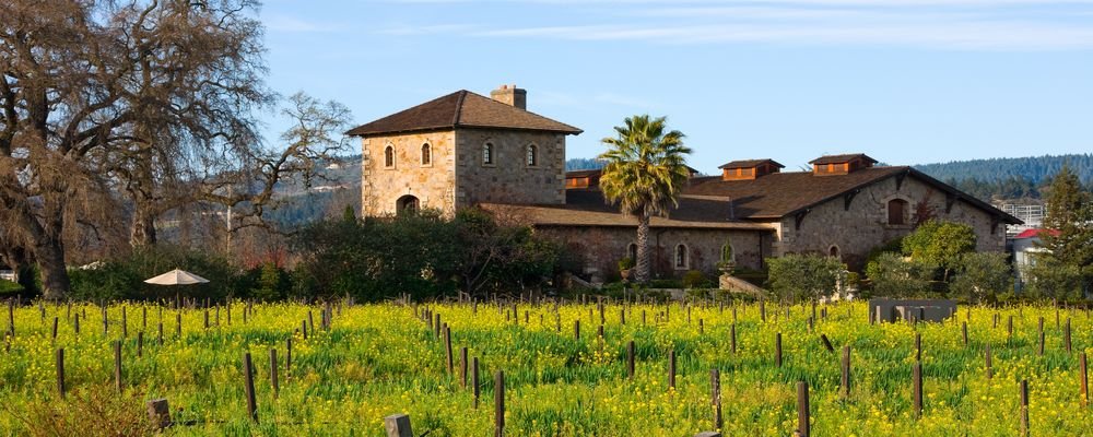 The Best Wine Regions To Tour - The Wise Traveller - Napa Valley