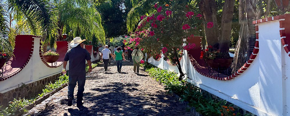 The Big Day Out - Guadalajara - The Wise Traveller - Tasting - IMG_7196