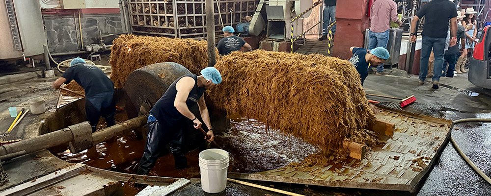 The Big Day Out - Guadalajara - The Wise Traveller - Tasting - IMG_7235