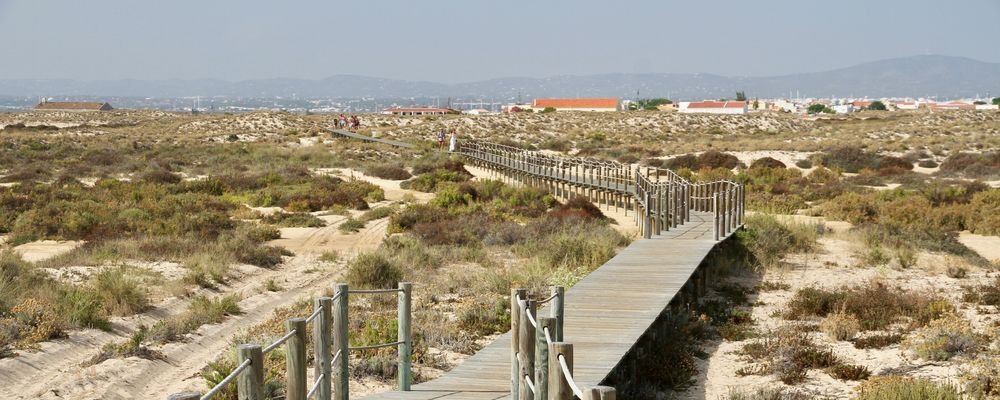 The Fishermen of Culatra Island - Algarve - Portugal - The Wise Traveller - IMG_1155