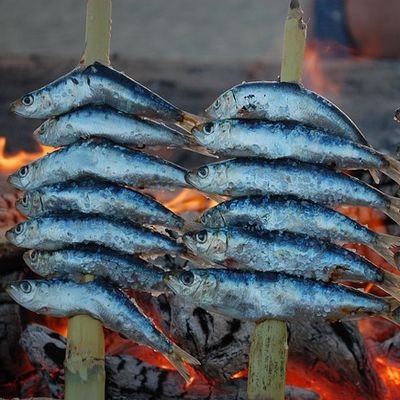 The Food Scene of San Sebastian, Spain - The Wise Traveller - San Sebastian - Sardines