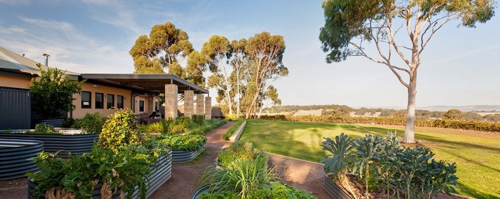 5 Australian Vineyards to Sip and Sleep At - The Wise Traveller - The Louise Barossa Valley