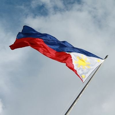 The Philippines National Day (June 12) - The Wise Traveller - Flag.jpg