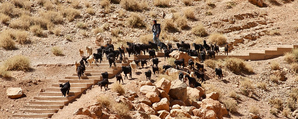 The Remote Village of Aït Baha - Todra Gorge, Morocco - The Wise Traveller - IMG4296